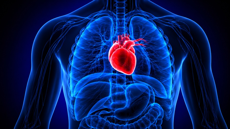heart health​